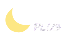 Night Plus Logo